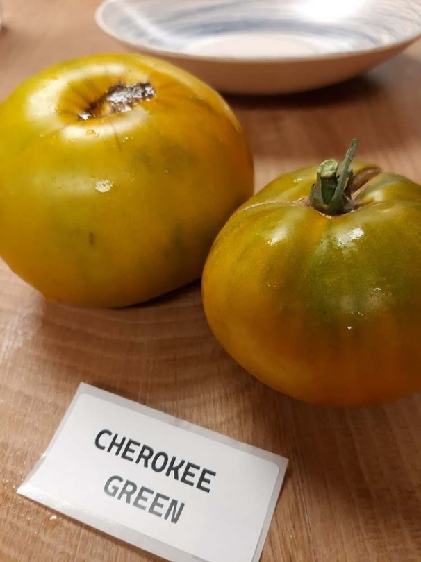Cherokee Green paradicsom  - Paradicsom különlegességek az Egzotikus Növények Stúdiója kínálatából